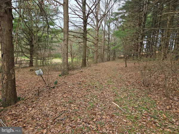 $2,250,000 | Farmington, Woodbine, MD 21797