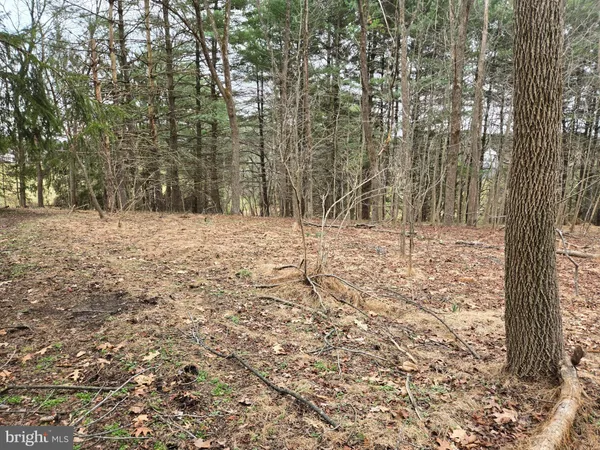 $2,250,000 | Farmington, Woodbine, MD 21797