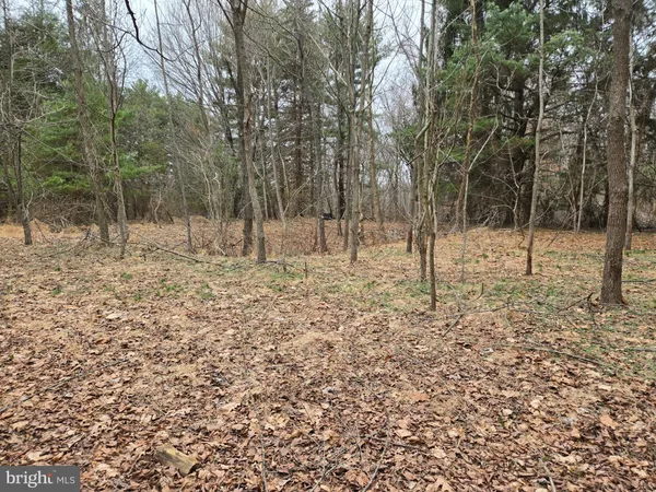 $2,250,000 | Farmington, Woodbine, MD 21797