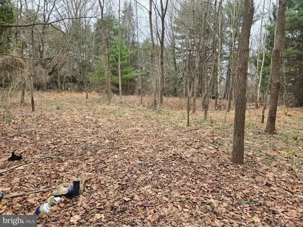 $2,250,000 | Farmington, Woodbine, MD 21797