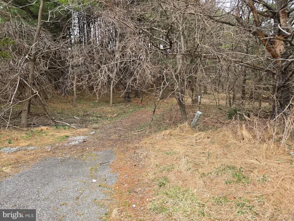 $2,250,000 | Farmington, Woodbine, MD 21797