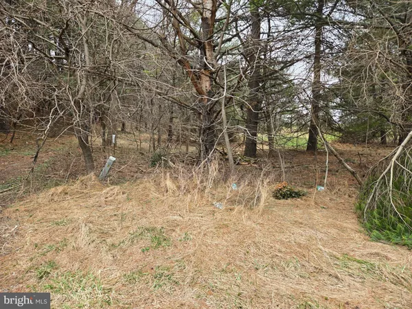 $2,250,000 | Farmington, Woodbine, MD 21797