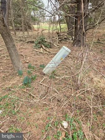 $2,250,000 | Farmington, Woodbine, MD 21797