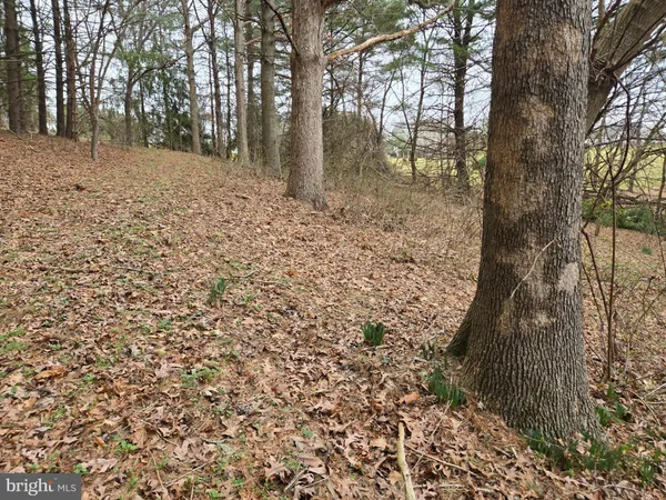 $2,250,000 | Farmington, Woodbine, MD 21797