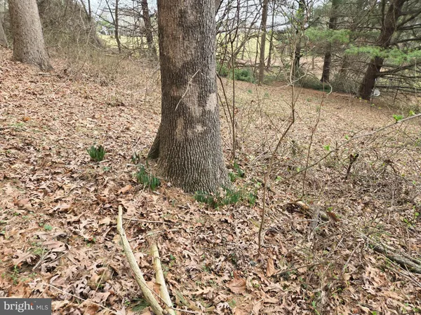 $2,250,000 | Farmington, Woodbine, MD 21797
