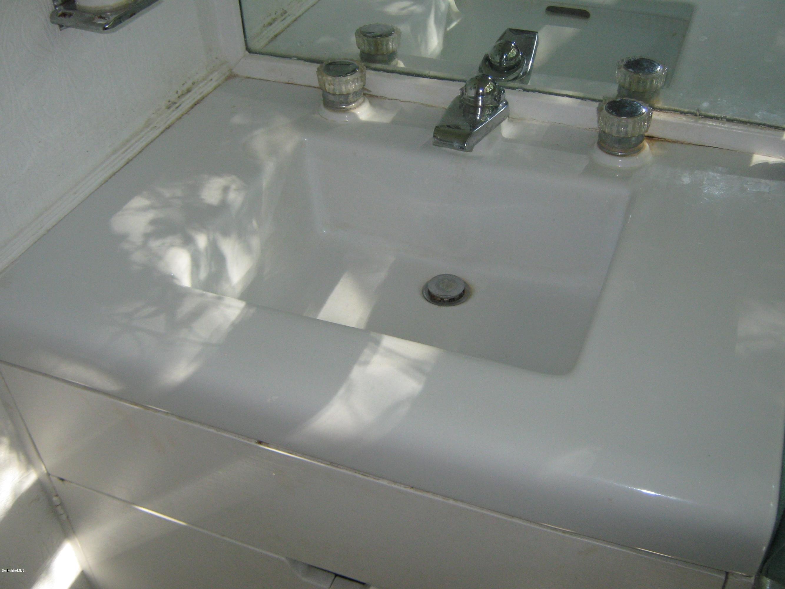 231 Summit Road Richmond, MA 01254 - Photo 43 of 69 a view of a plant in a bathroom