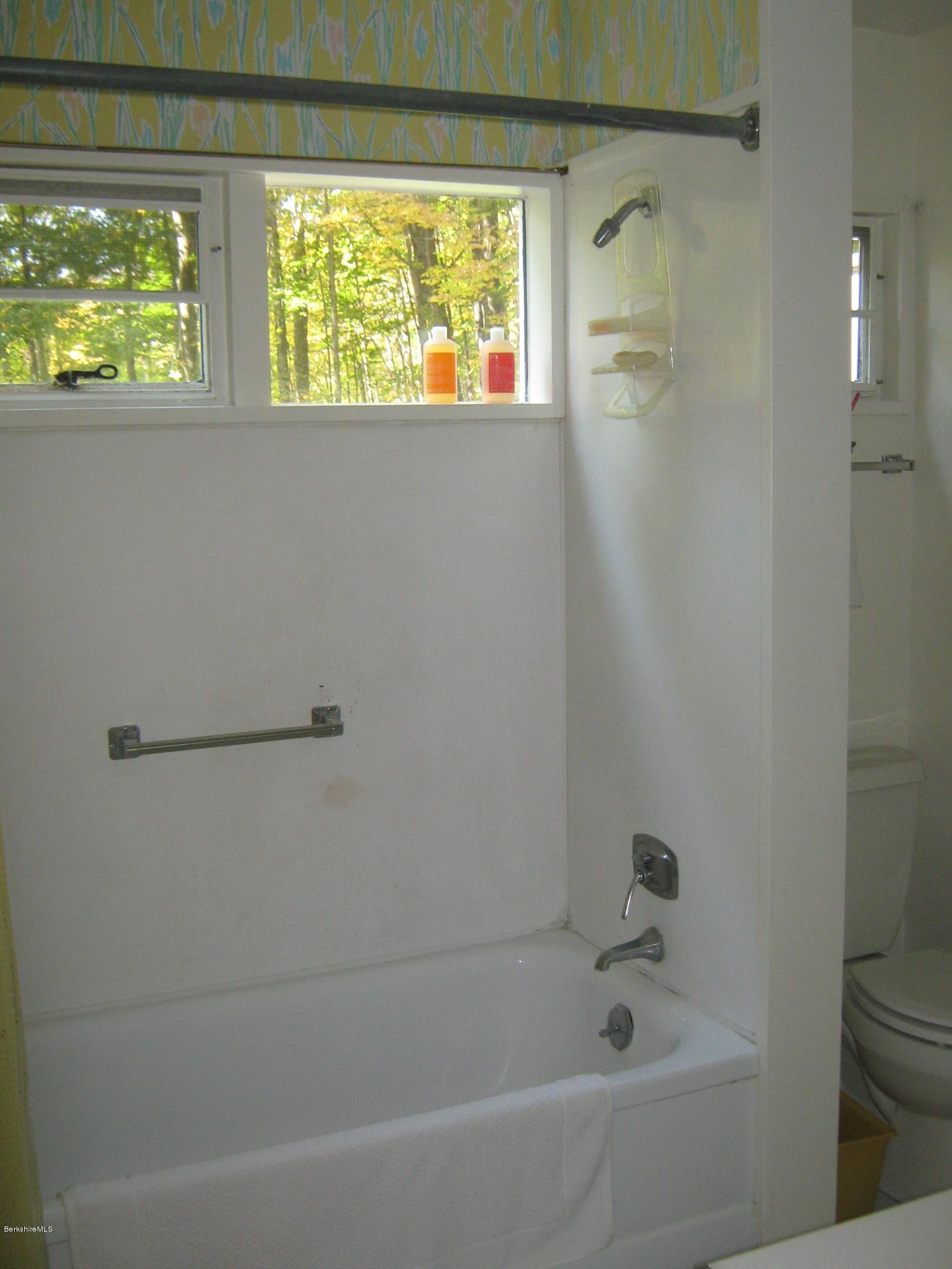 231 Summit Road Richmond, MA 01254 - Photo 60 of 69 a bathroom with a bathtub and window
