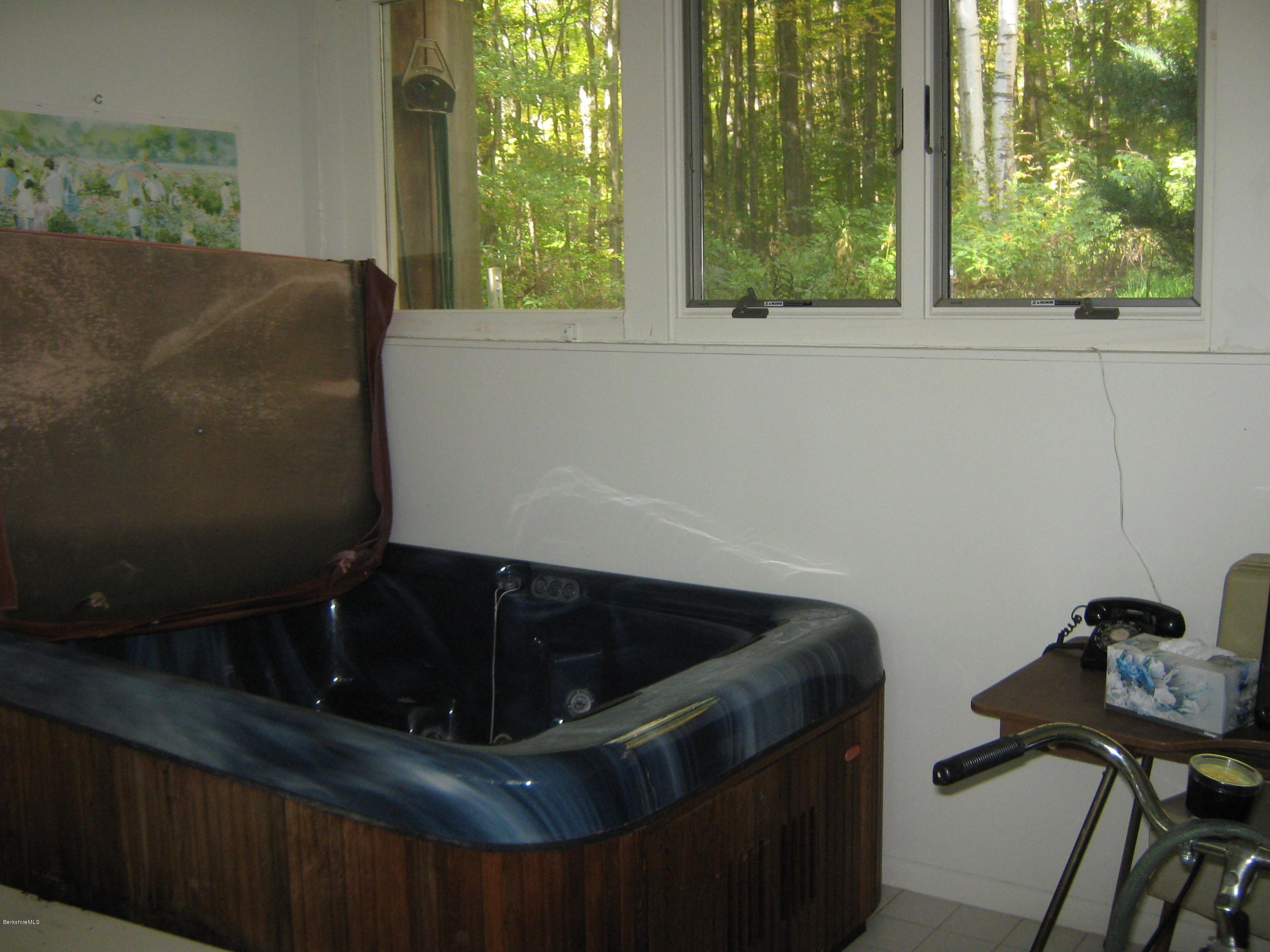 231 Summit Road Richmond, MA 01254 - Photo 64 of 69 Spa Room