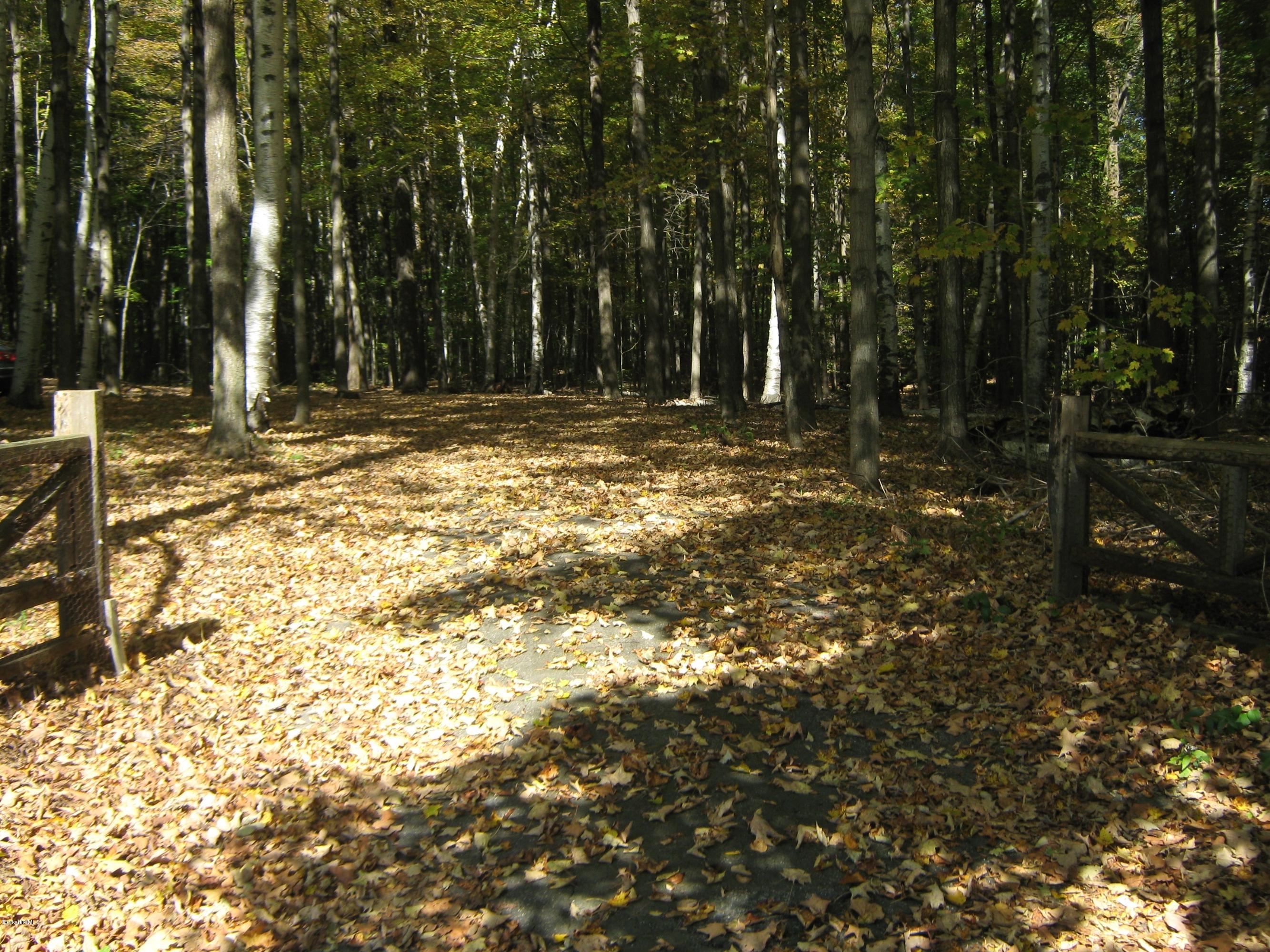 231 Summit Road Richmond, MA 01254 - Photo 66 of 69 a view of outdoor space with trees