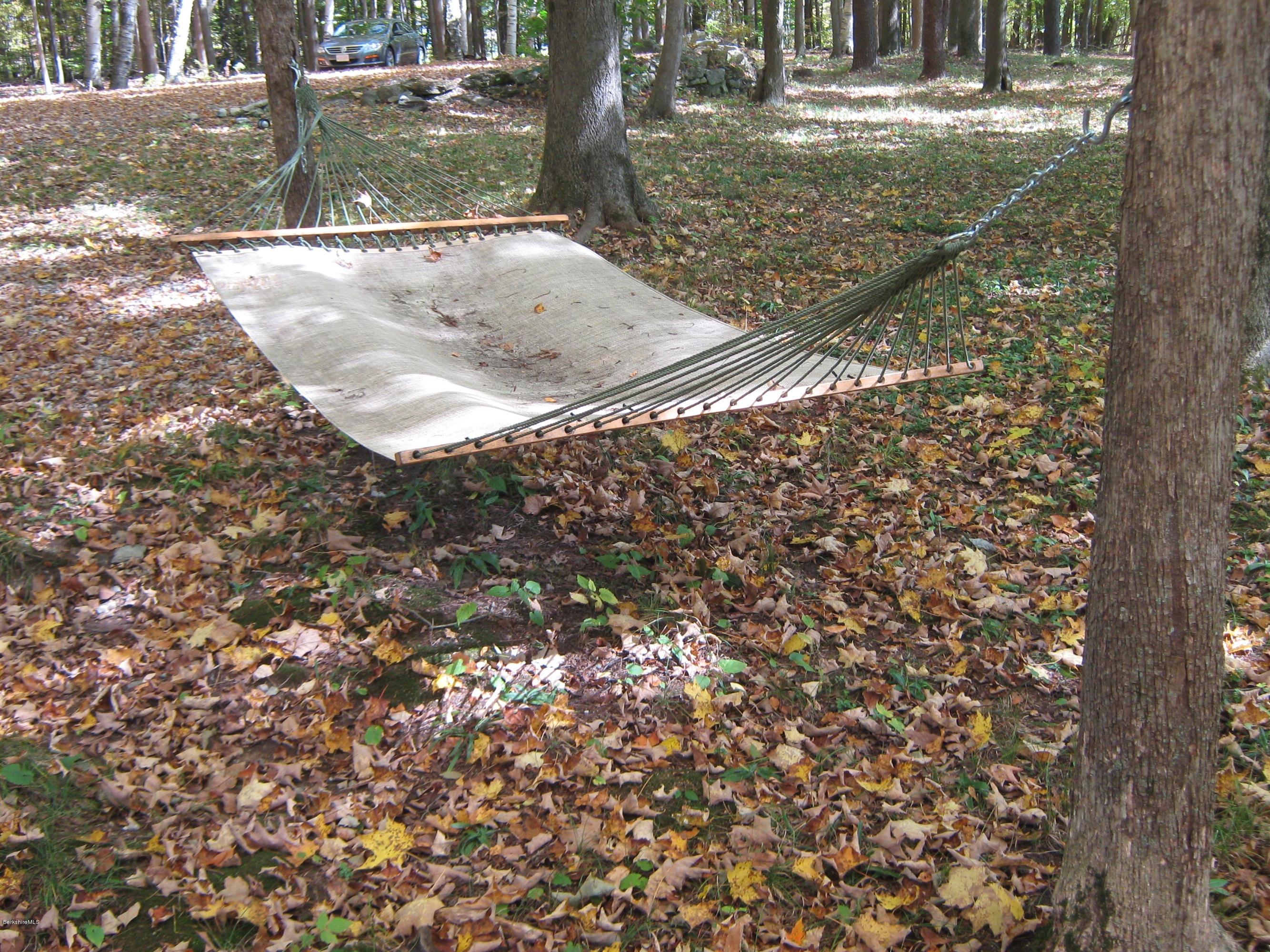 231 Summit Road Richmond, MA 01254 - Photo 69 of 69 Wooded Yard - Hammock