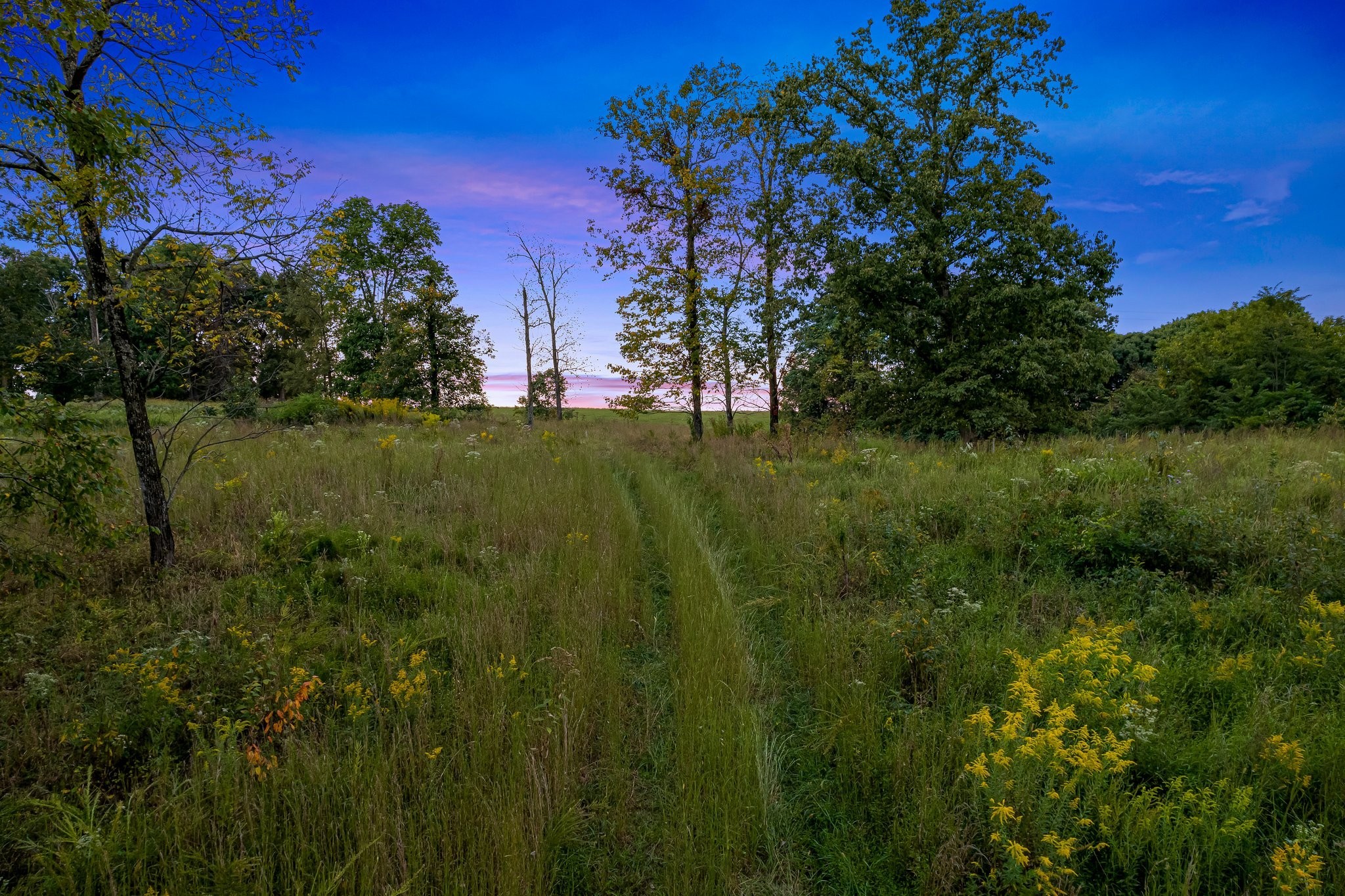 8740 Howell Road Mount Pleasant, TN 38474 - Photo 20 of 70 a view of a lush green space