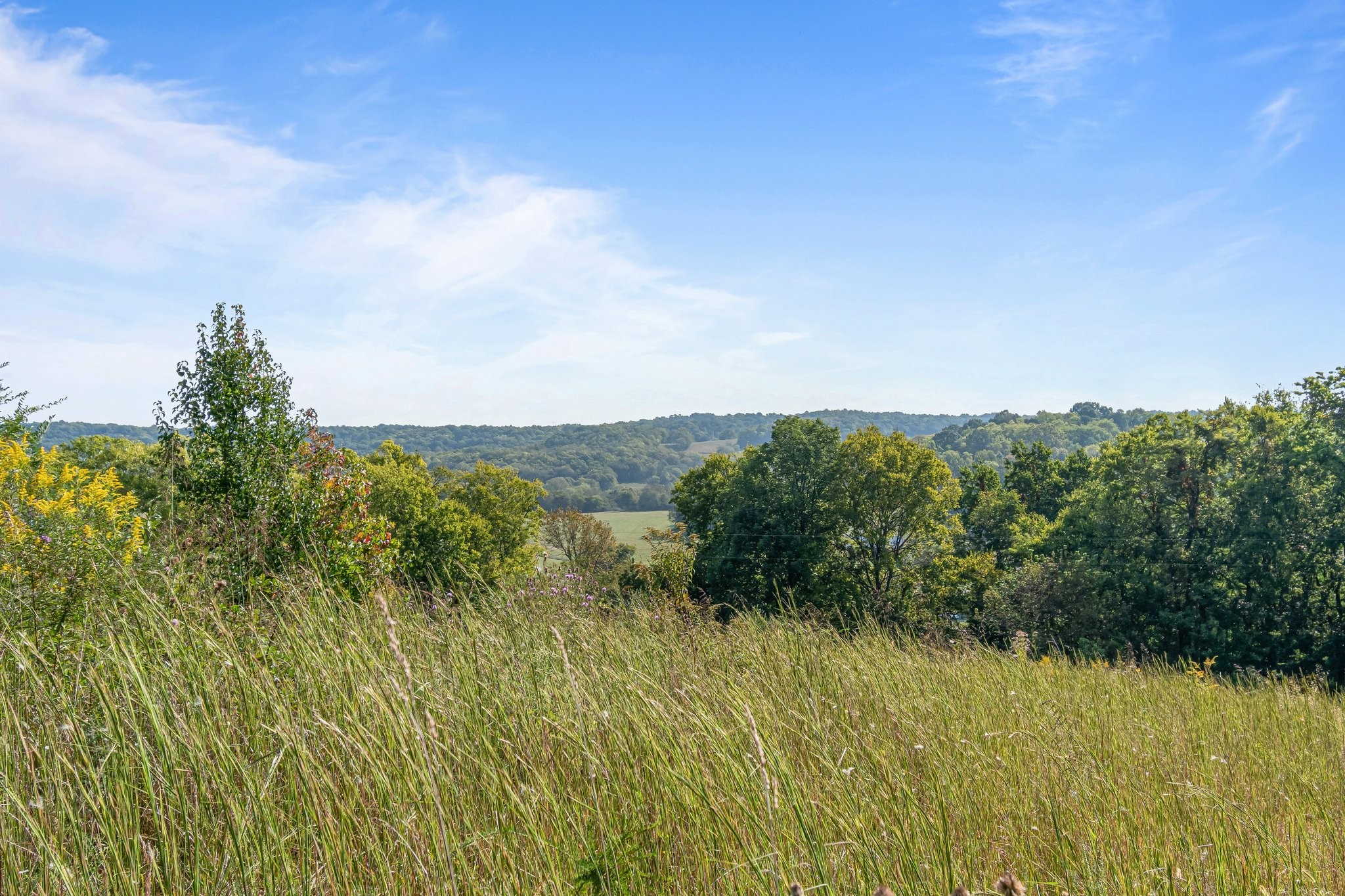 8740 Howell Road Mount Pleasant, TN 38474 - Photo 23 of 70 a view of a lake and mountains