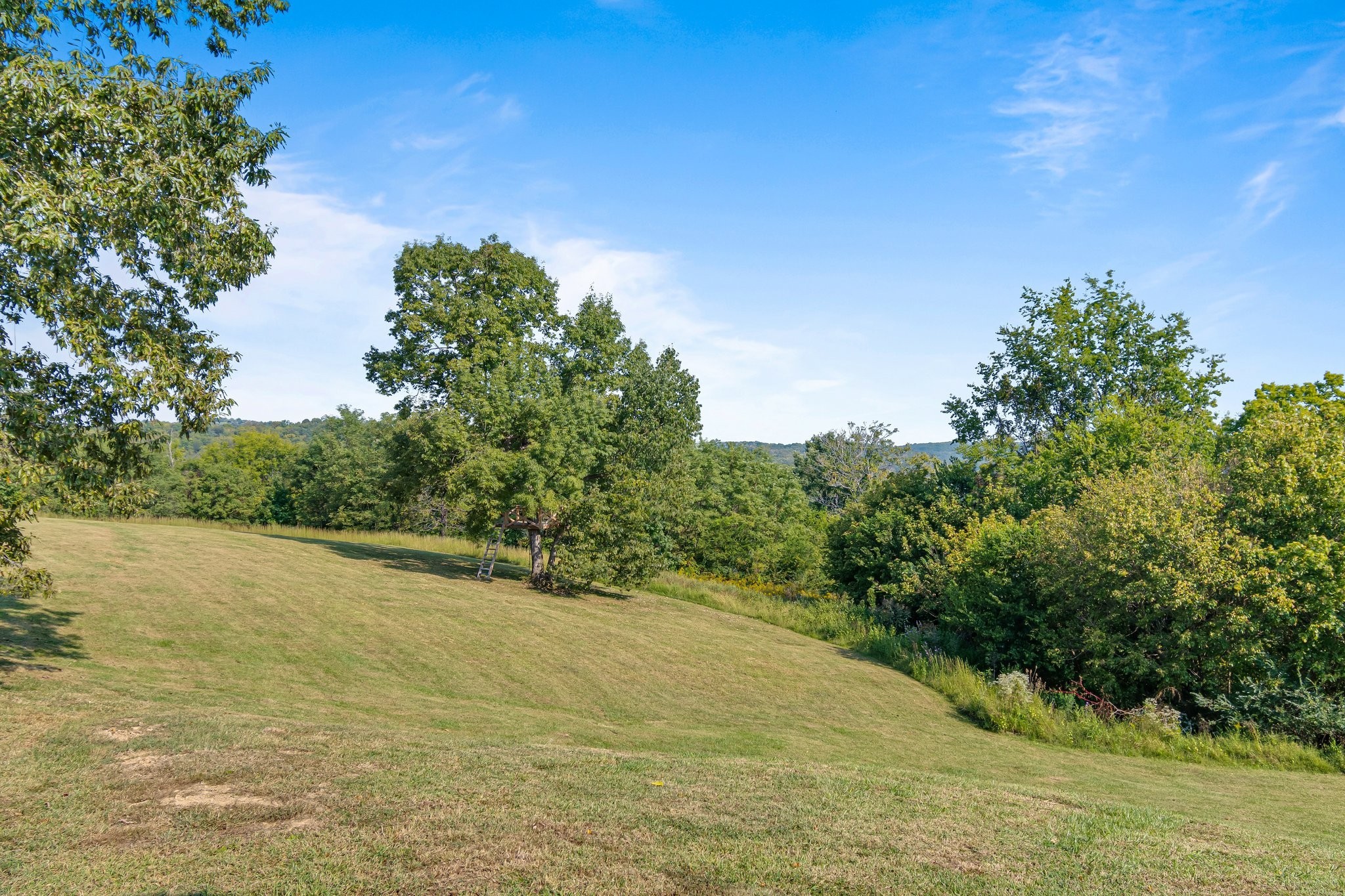 8740 Howell Road Mount Pleasant, TN 38474 - Photo 38 of 70