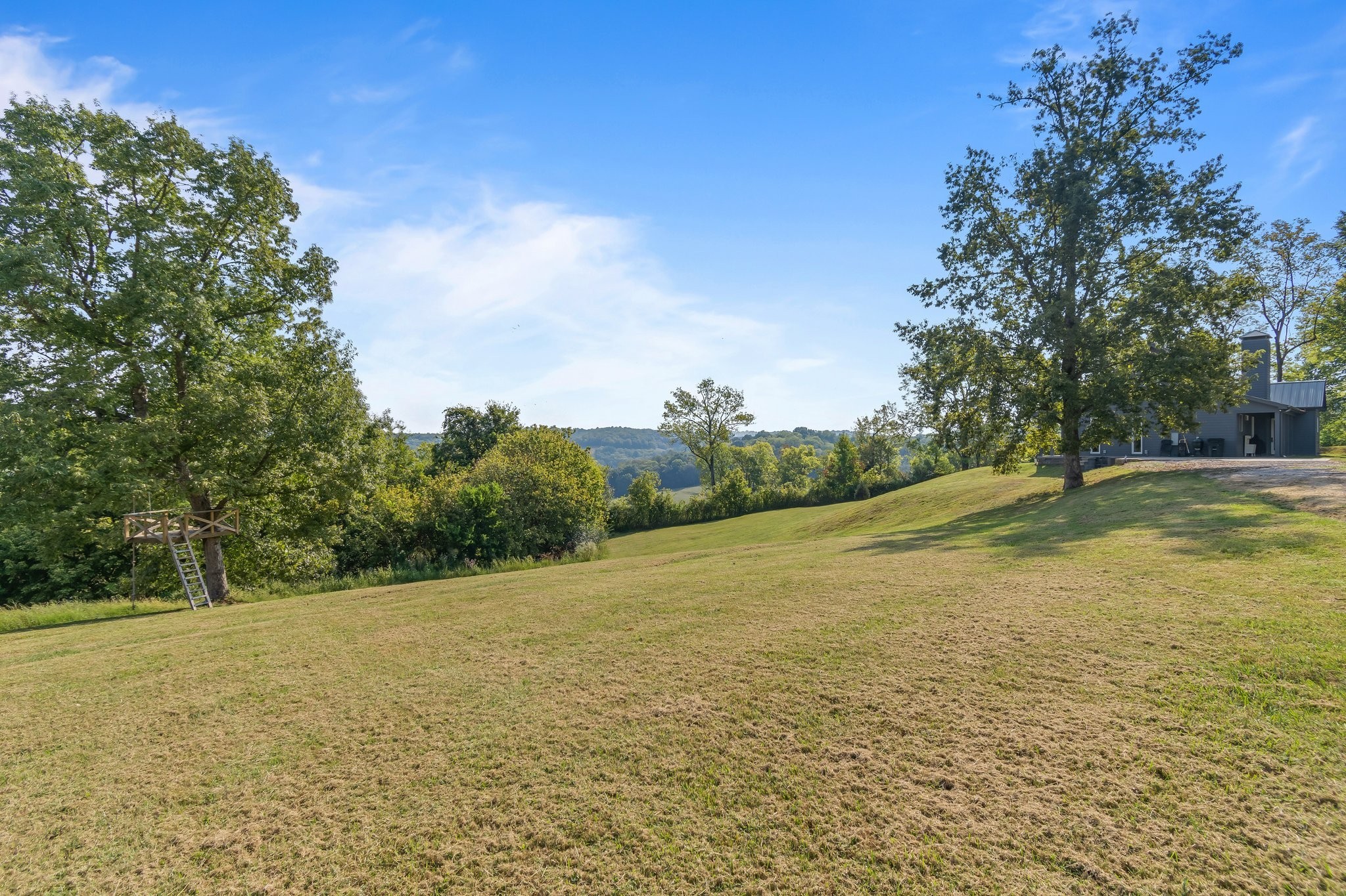 8740 Howell Road Mount Pleasant, TN 38474 - Photo 39 of 70 a view of a field with an trees