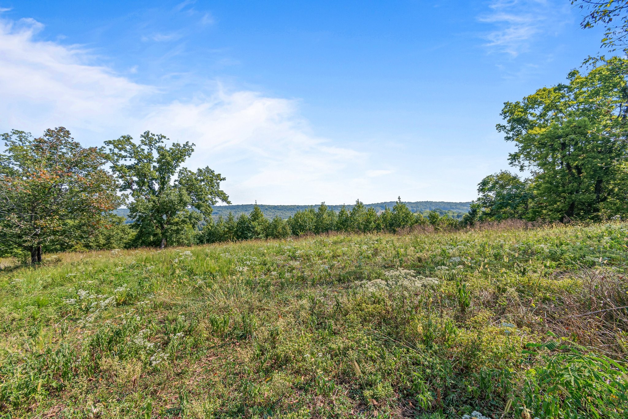 8740 Howell Road Mount Pleasant, TN 38474 - Photo 40 of 70 a view of a big yard with plants and large trees