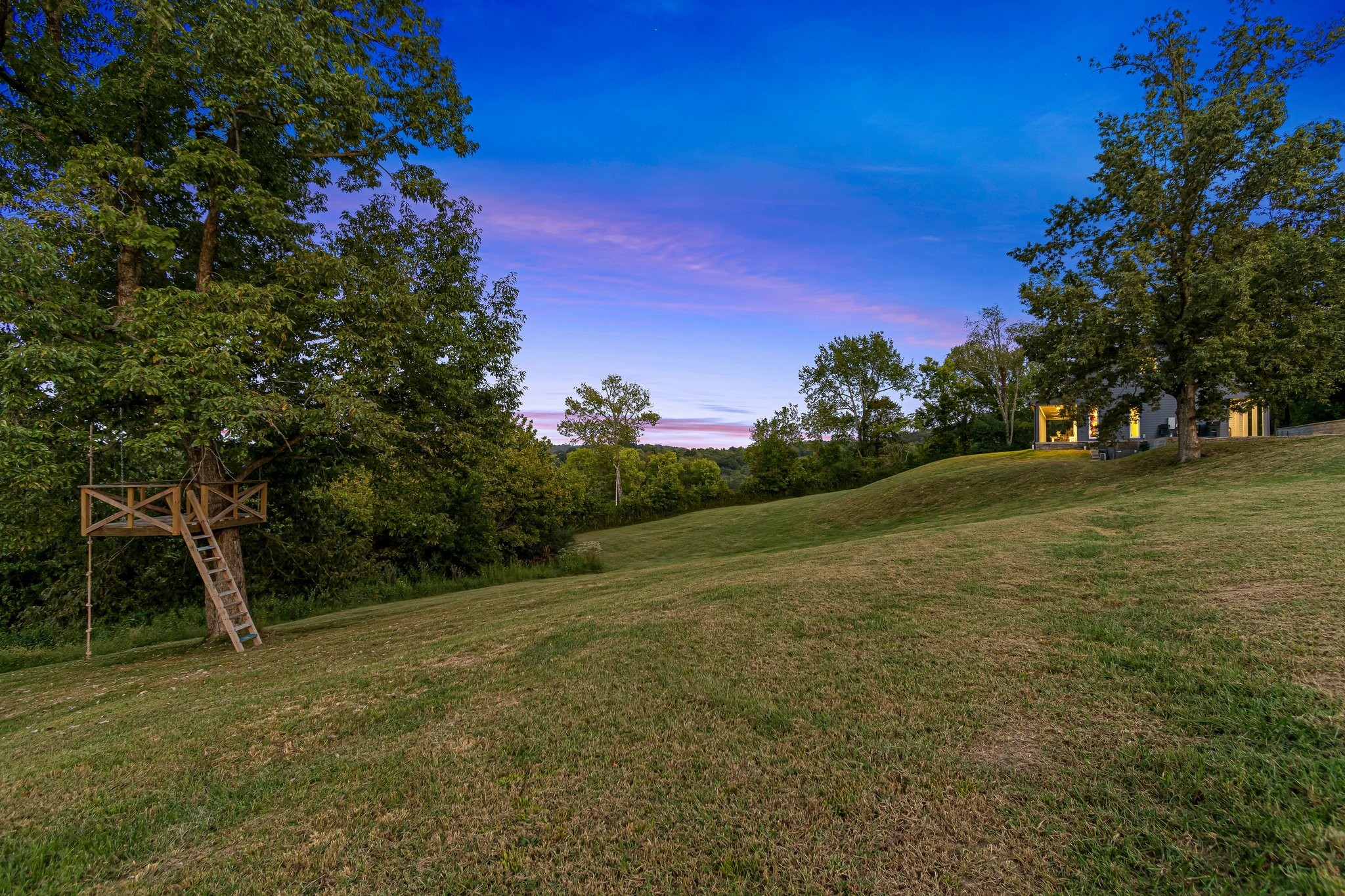 8740 Howell Road Mount Pleasant, TN 38474 - Photo 58 of 70 a view of a field with trees in the background