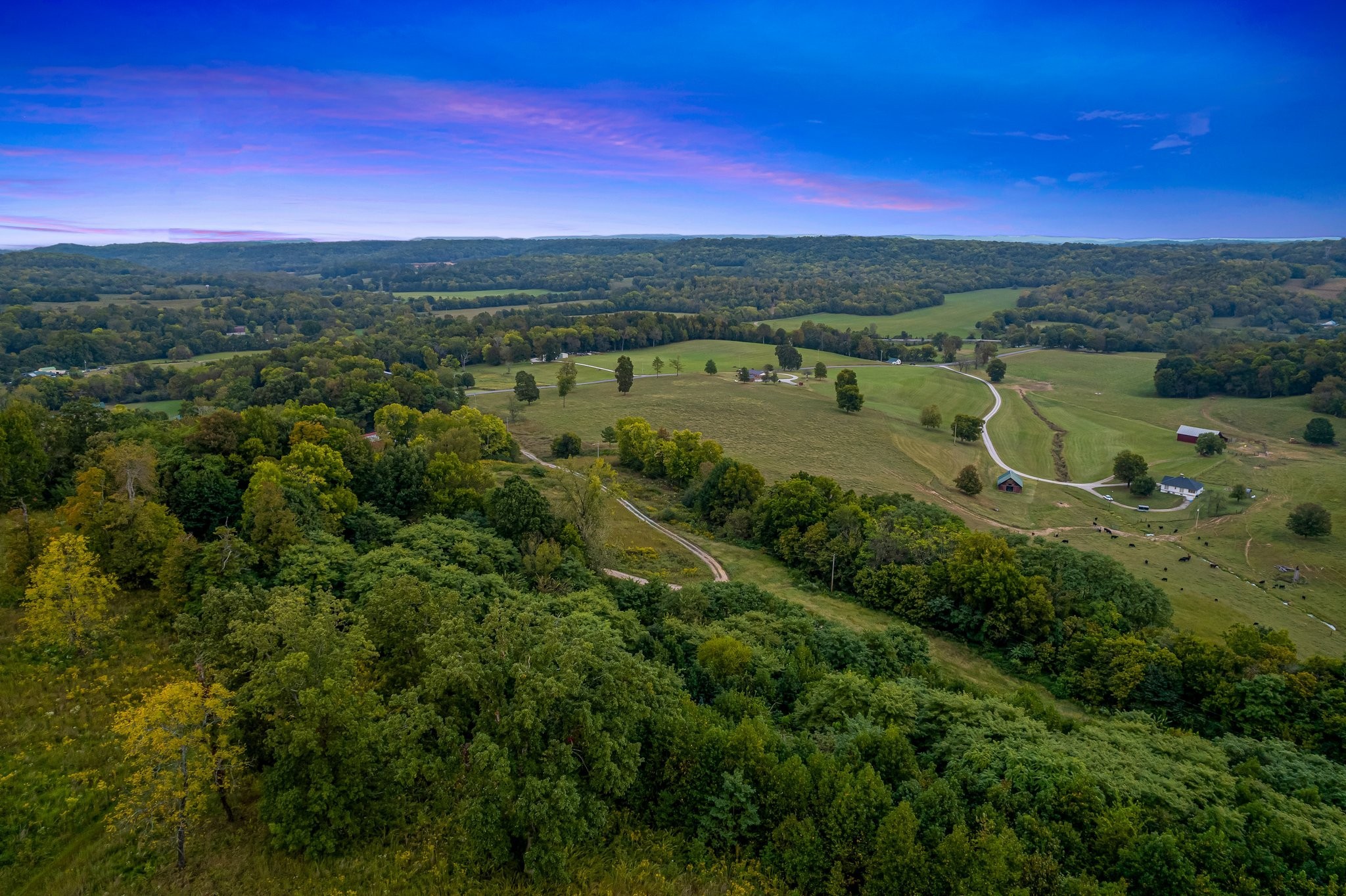 8740 Howell Road Mount Pleasant, TN 38474 - Photo 60 of 70 a view of a city with lush green forest
