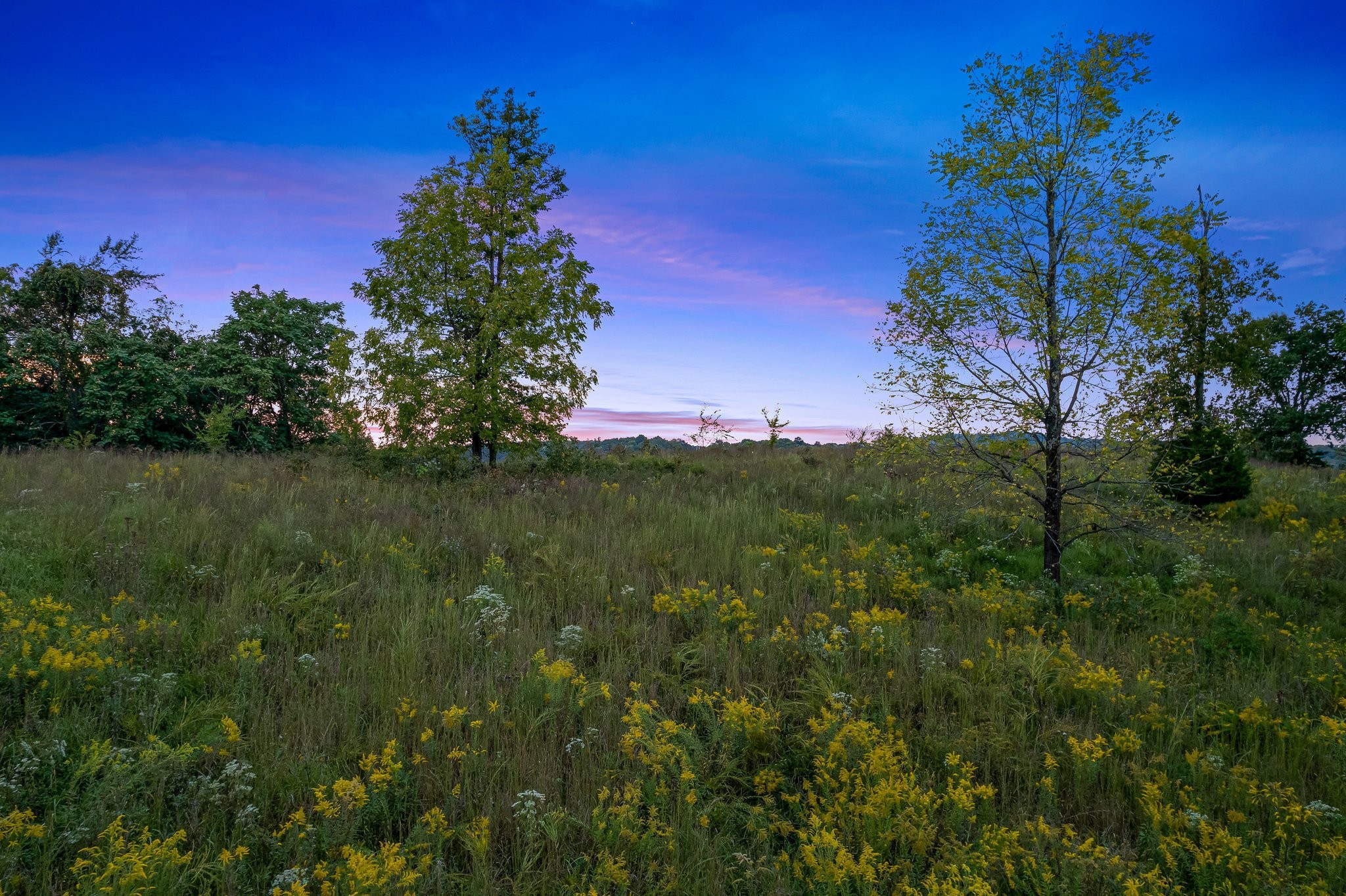 8740 Howell Road Mount Pleasant, TN 38474 - Photo 61 of 70