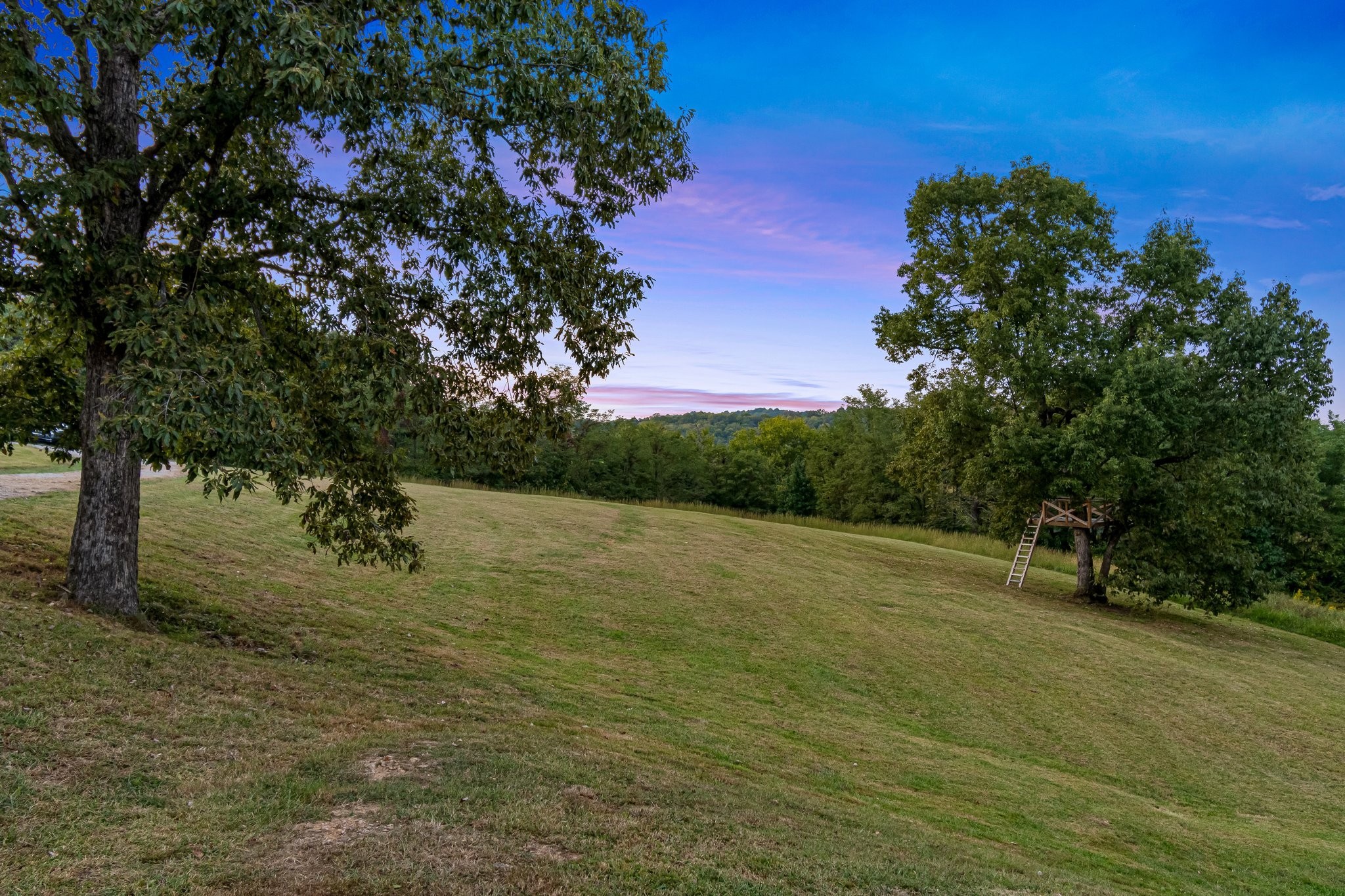 8740 Howell Road Mount Pleasant, TN 38474 - Photo 10 of 70 a view of a field with an trees