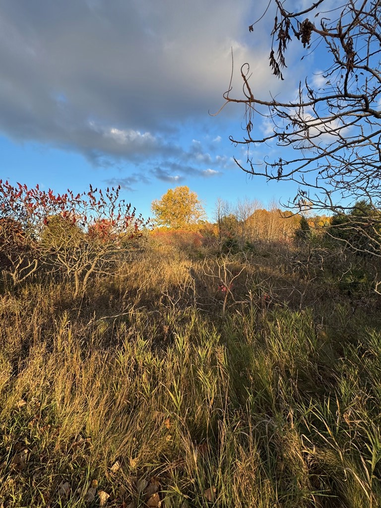 Valley View Trail Sturgeon Bay, WI 54235 - Photo 11 of 12