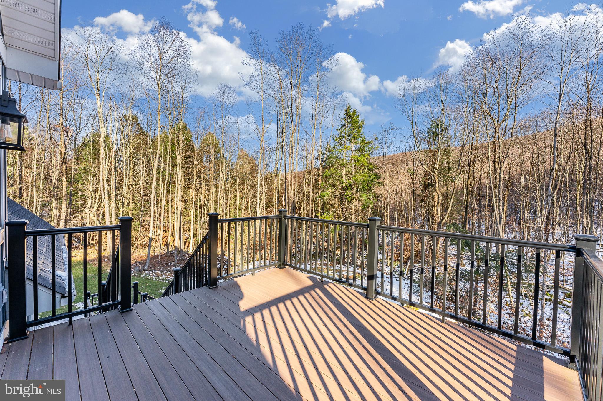 1012 Cannon Settlement Road Parsons, WV 26287 - Photo 2 of 54