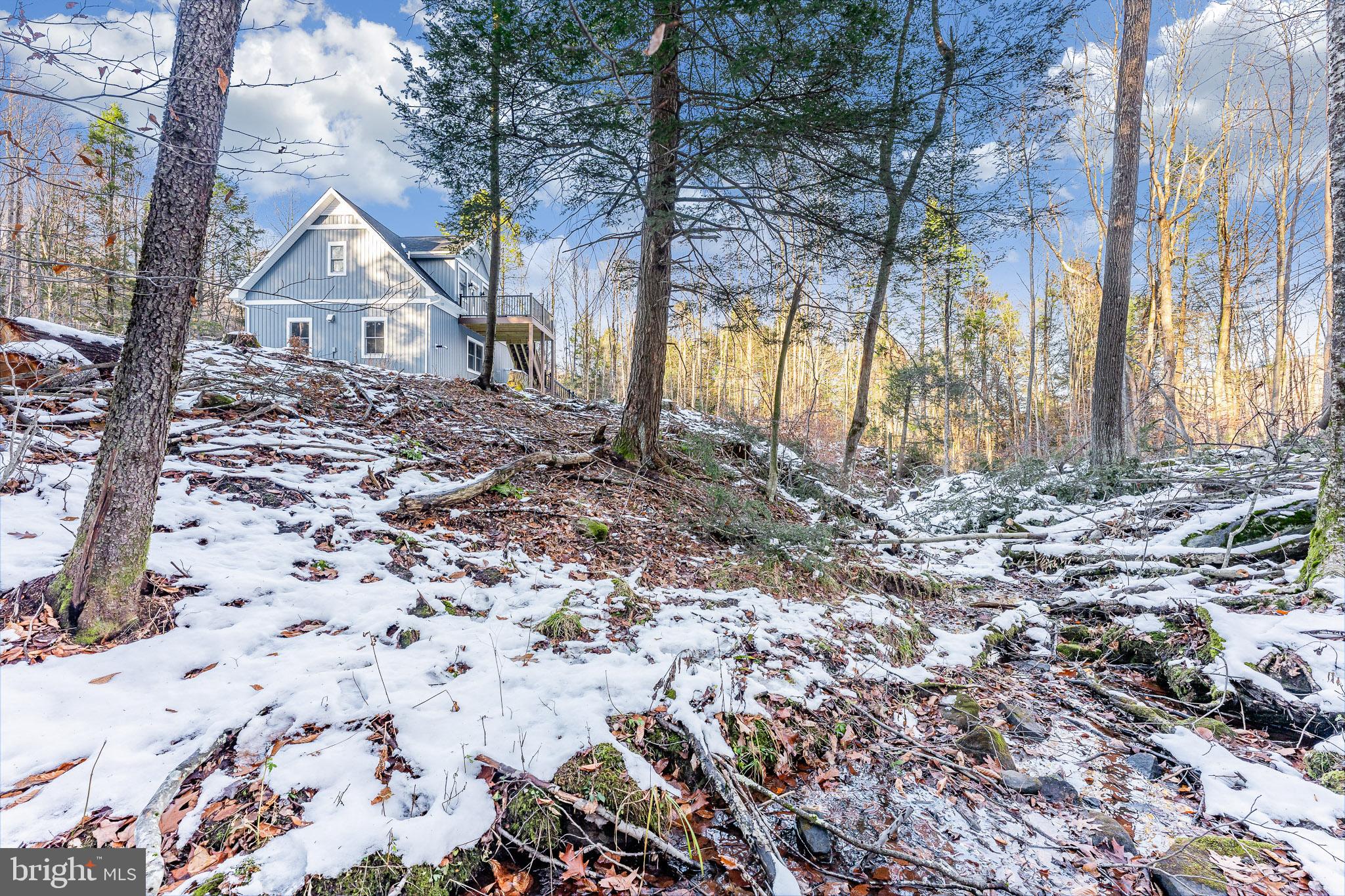 1012 Cannon Settlement Road Parsons, WV 26287 - Photo 34 of 54