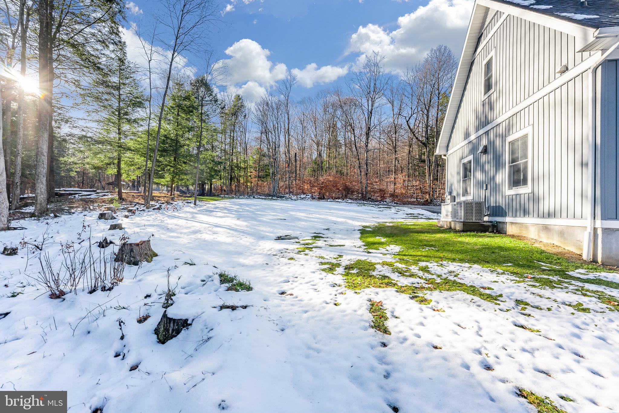 1012 Cannon Settlement Road Parsons, WV 26287 - Photo 42 of 54