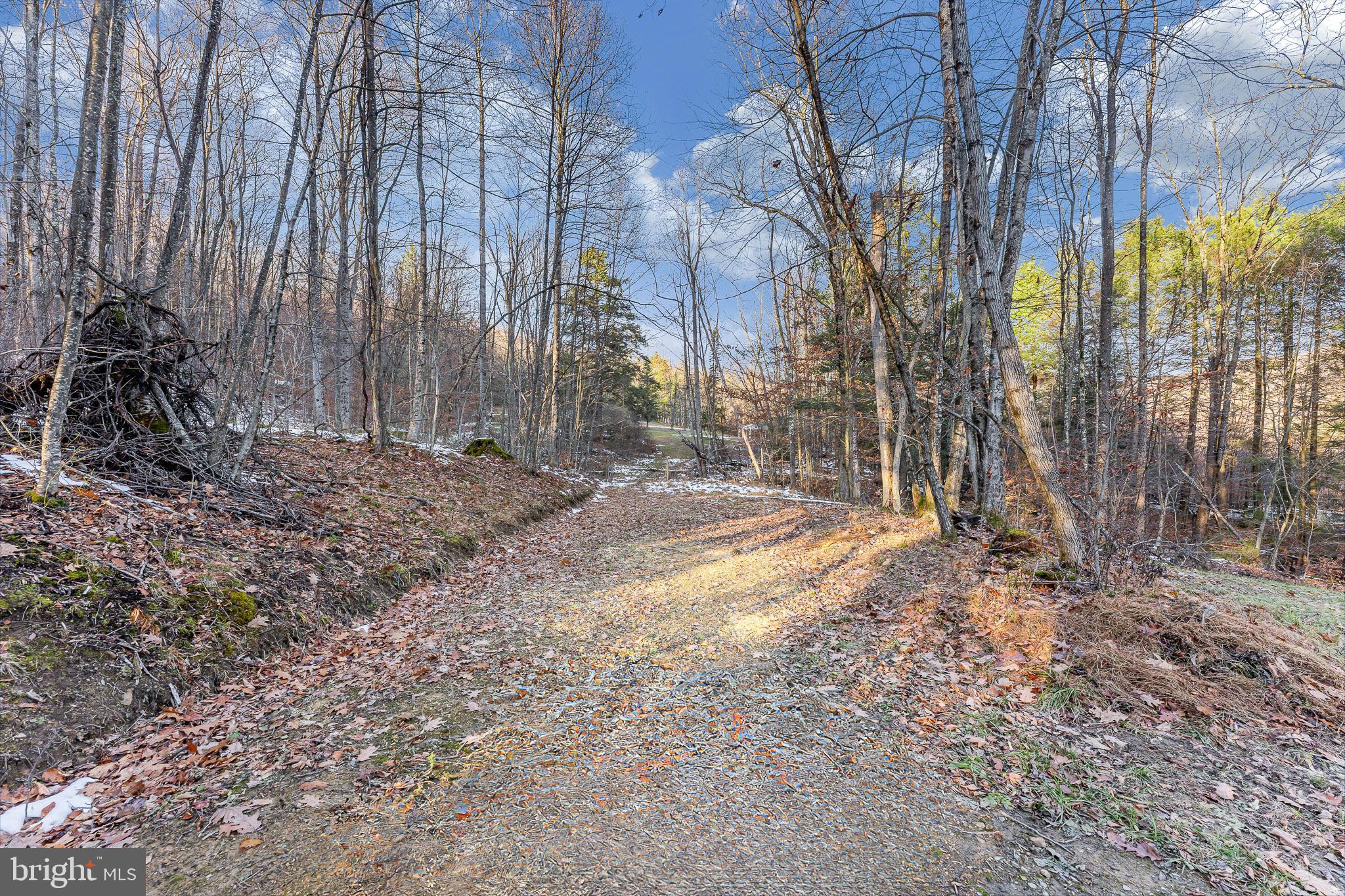 1012 Cannon Settlement Road Parsons, WV 26287 - Photo 45 of 54