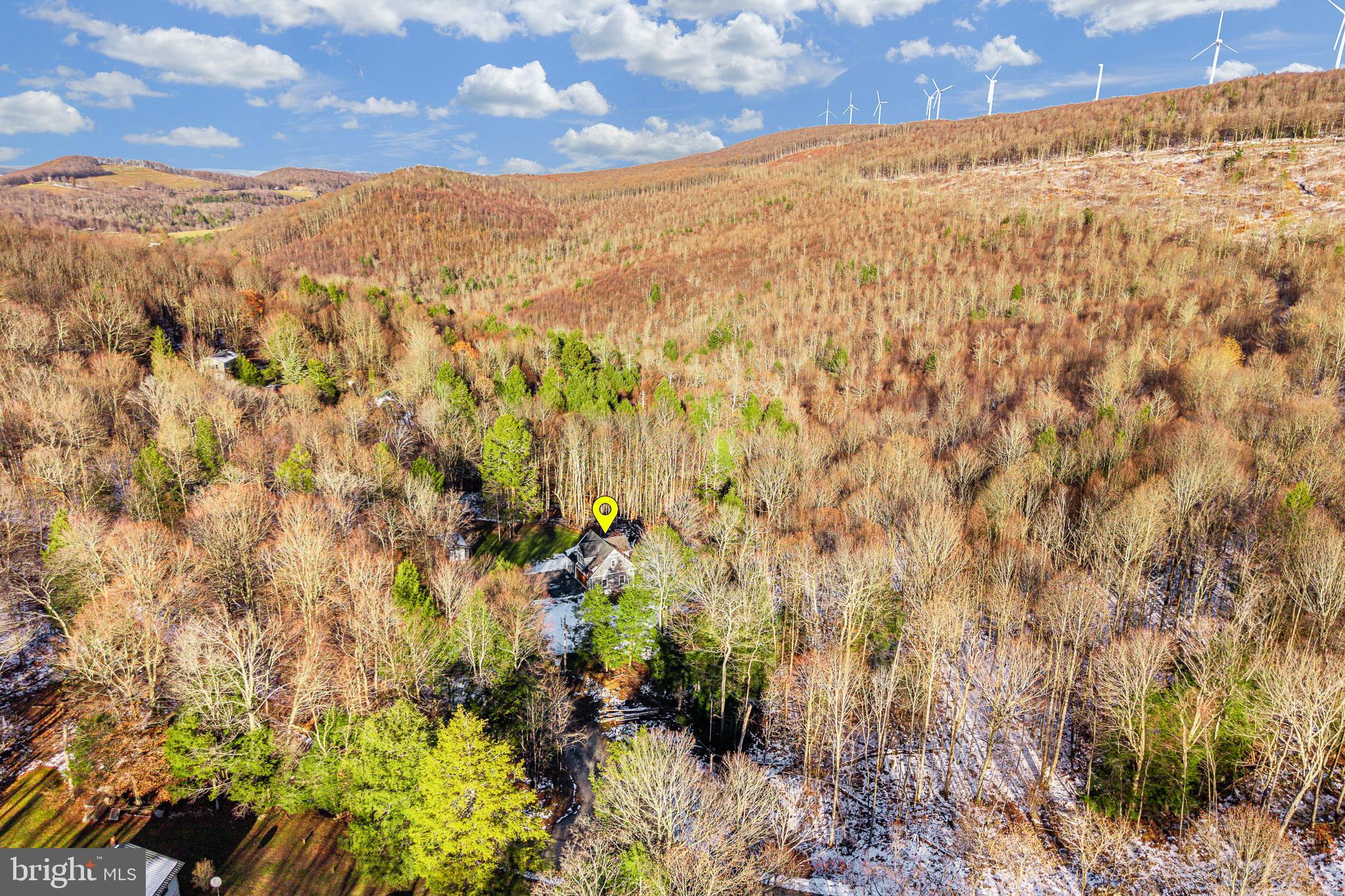1012 Cannon Settlement Road Parsons, WV 26287 - Photo 49 of 54
