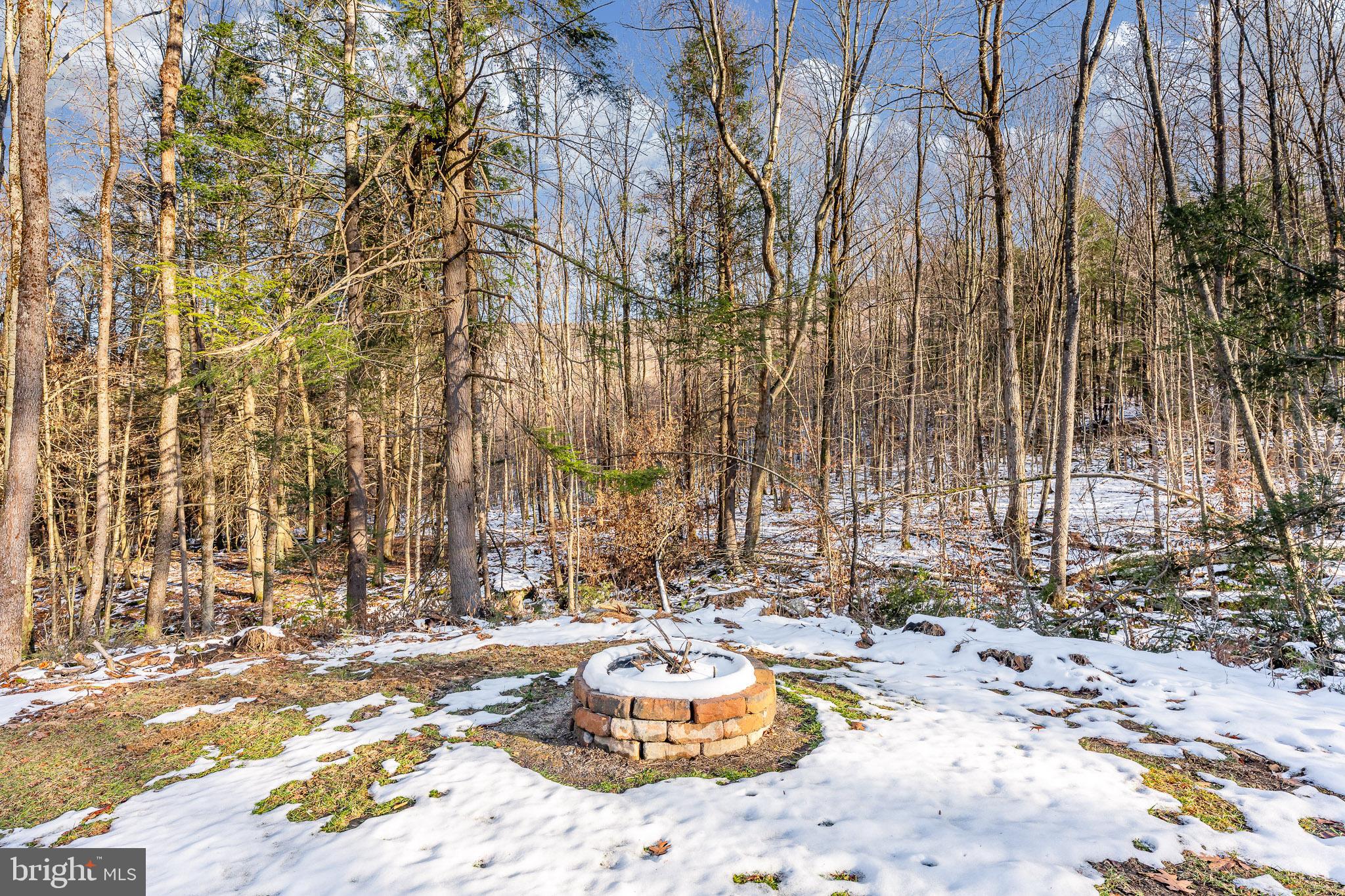 1012 Cannon Settlement Road Parsons, WV 26287 - Photo 53 of 54