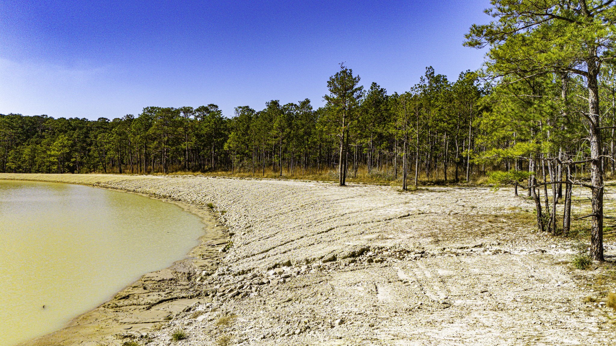 26 King Ranch Rd Road South Onalaska, TX 77360 - Photo 12 of 16 a view of ocean view