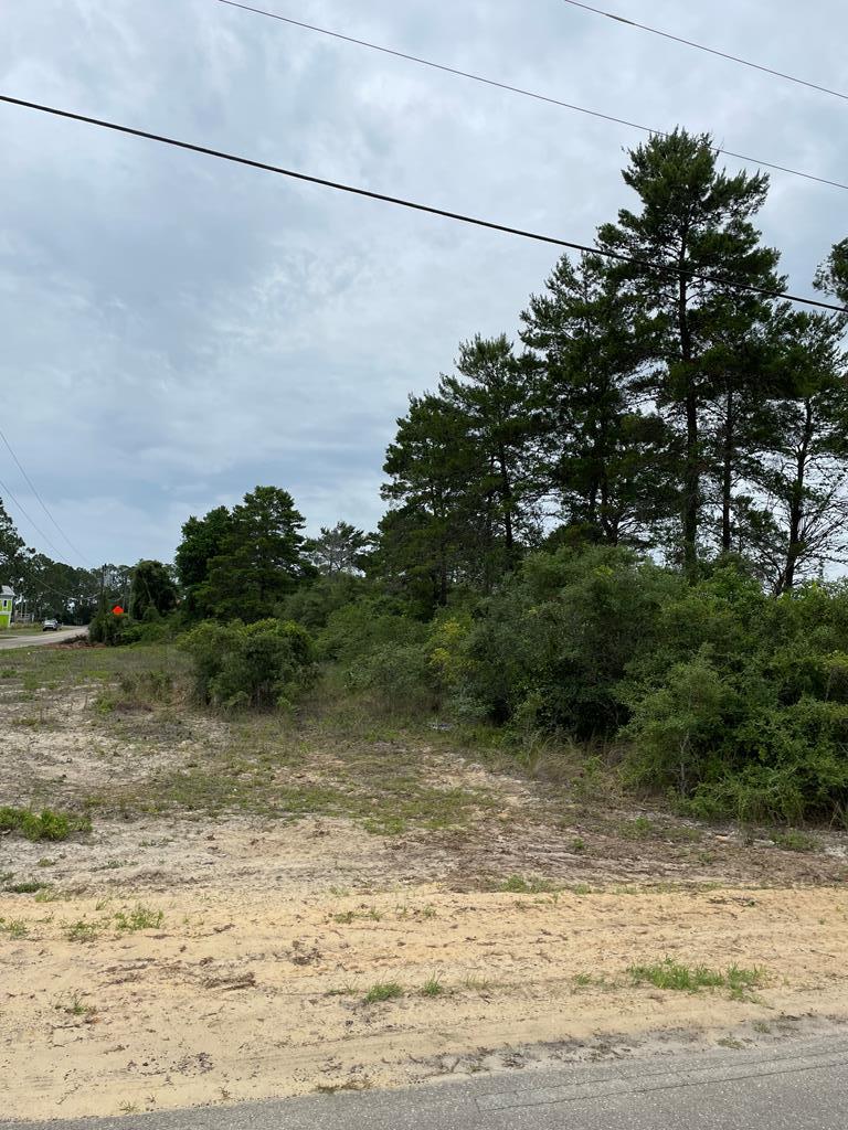 1832 Lighthouse Road Carrabelle, FL 32322 - Photo 2 of 3