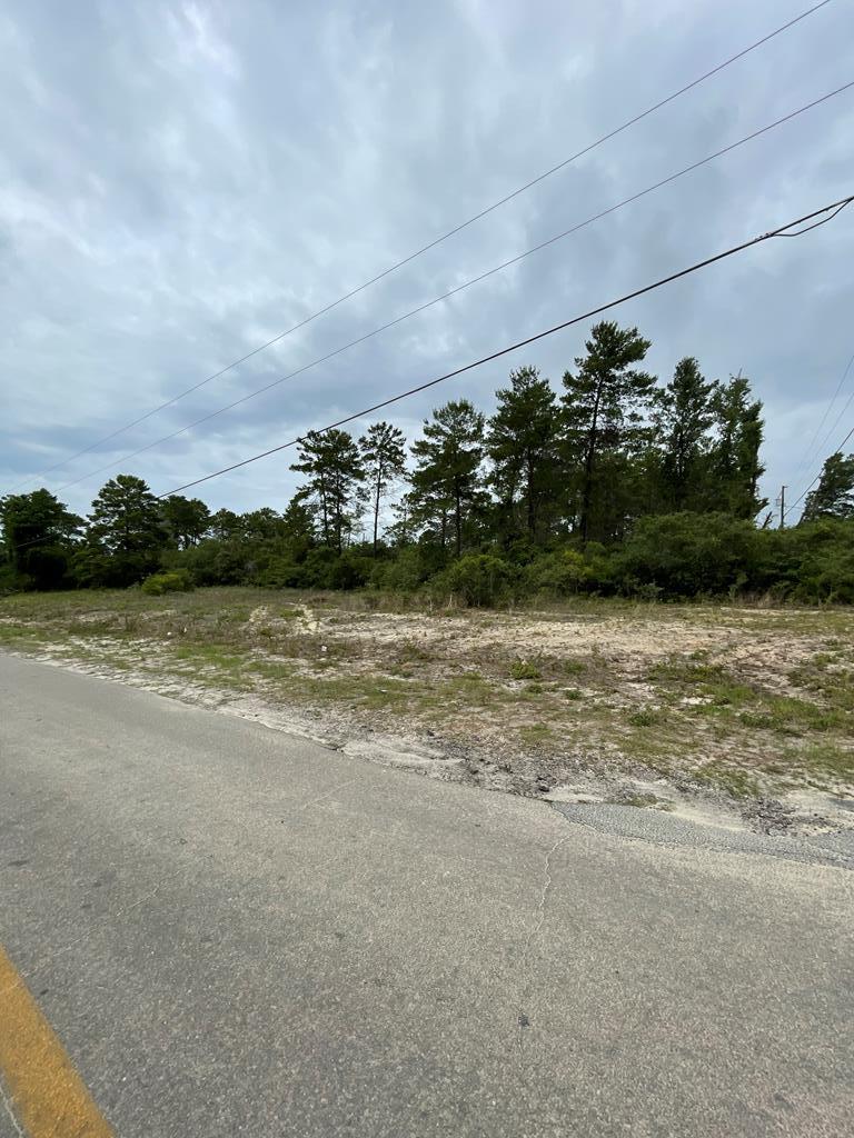1832 Lighthouse Road Carrabelle, FL 32322 - Photo 3 of 3