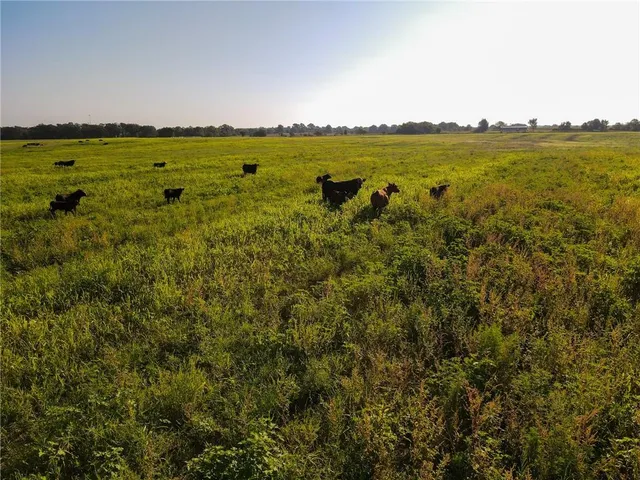 $2,918,000 | 28714 East Nn Highway, Milo, MO 64767