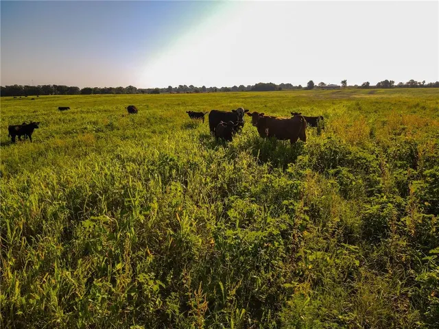 $2,918,000 | 28714 East Nn Highway, Milo, MO 64767