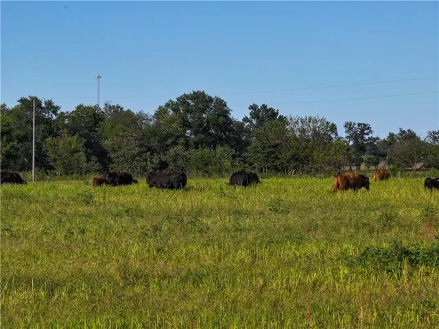 $2,918,000 | 28714 East Nn Highway, Milo, MO 64767