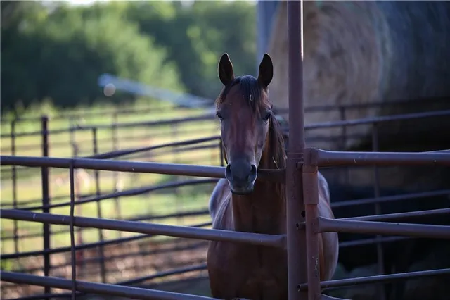 $2,918,000 | 28714 East Nn Highway, Milo, MO 64767