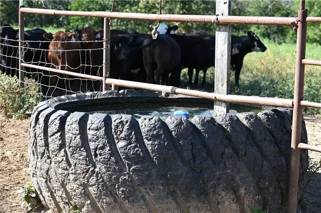 $2,918,000 | 28714 East Nn Highway, Milo, MO 64767