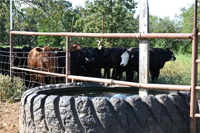 $2,918,000 | 28714 East Nn Highway, Milo, MO 64767