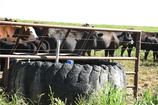 $2,918,000 | 28714 East Nn Highway, Milo, MO 64767