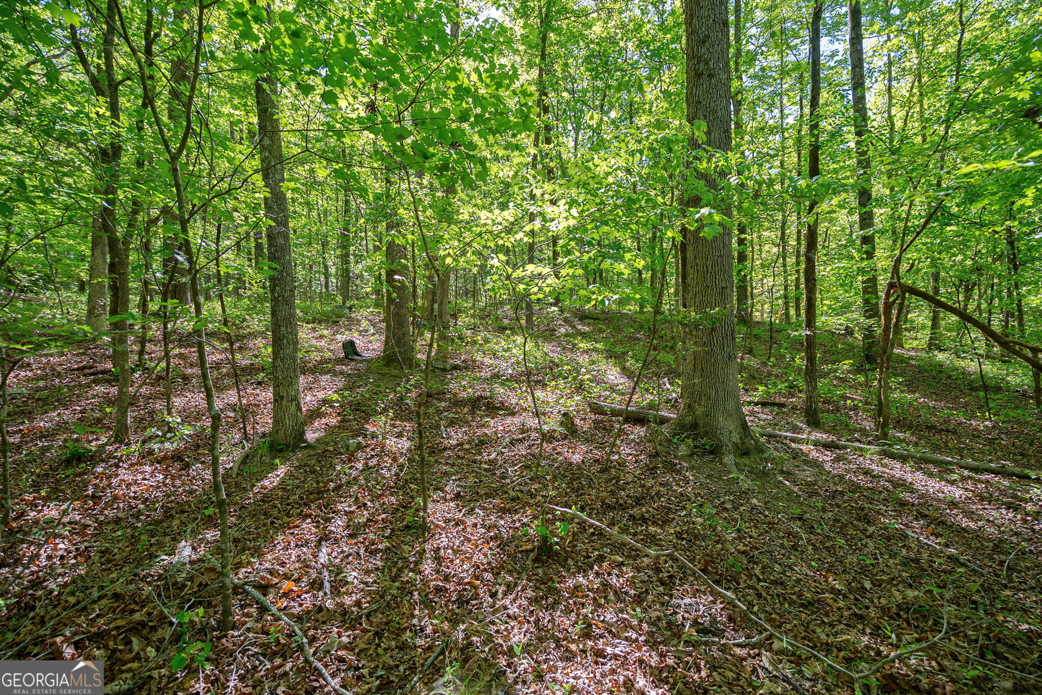 0 Brewer's Bridge Road Elberton, GA 30635 - Photo 11 of 38 a view of outdoor space and trees
