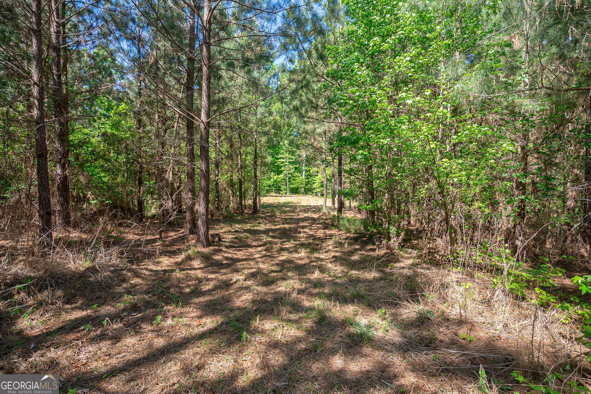 0 Brewer's Bridge Road Elberton, GA 30635 - Photo 13 of 38 a view of outdoor space and yard