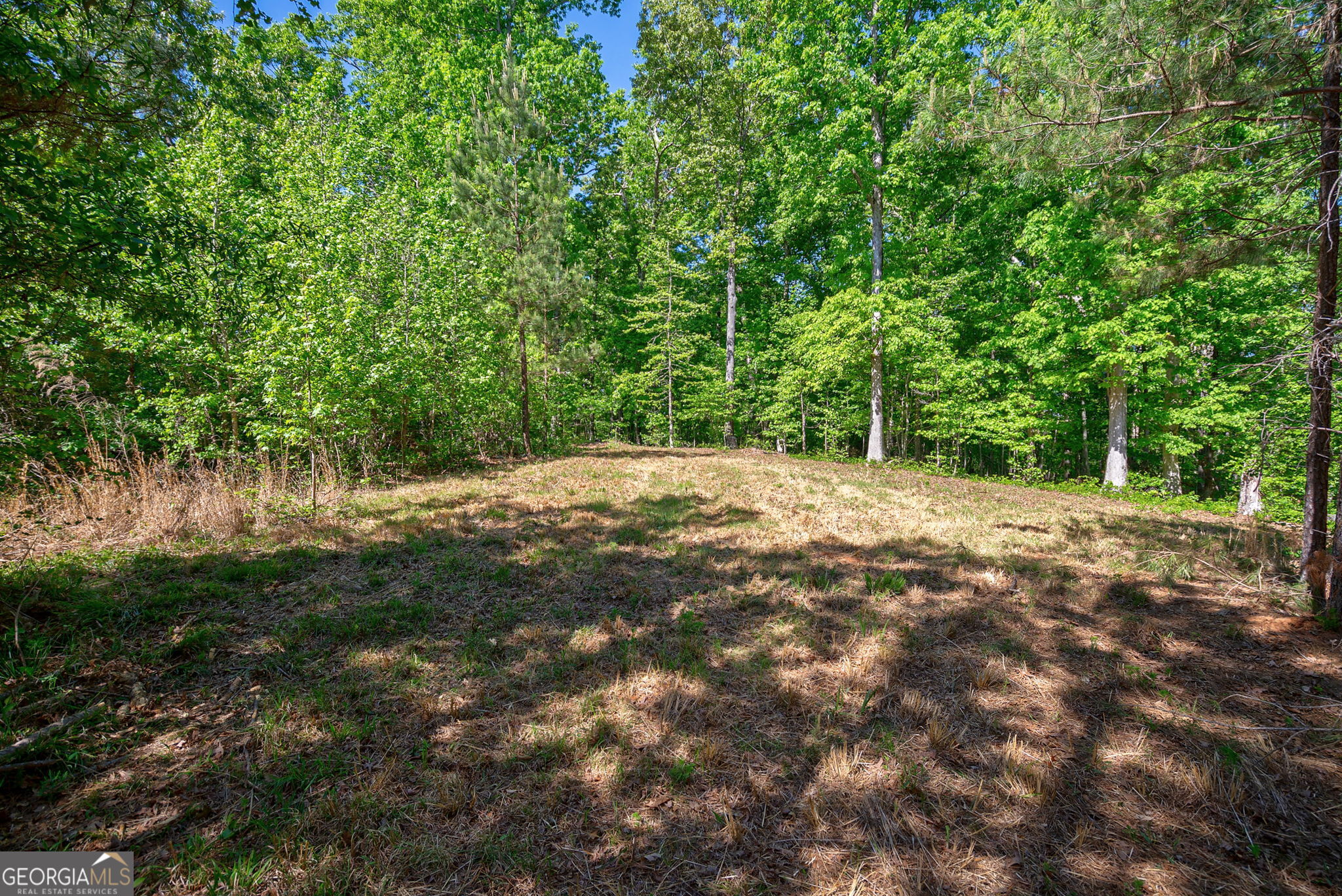 0 Brewer's Bridge Road Elberton, GA 30635 - Photo 14 of 38 a view of backyard with green space