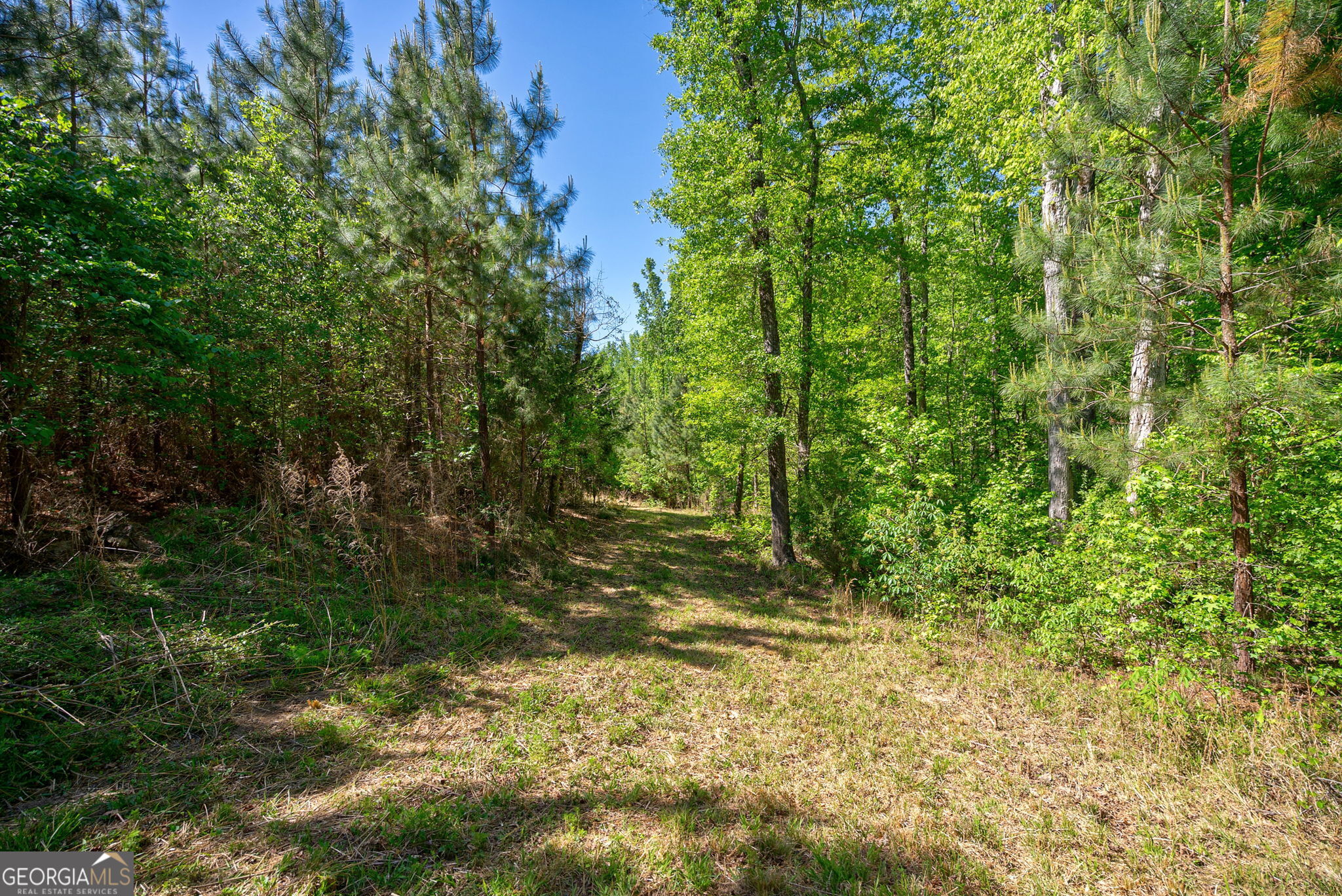 0 Brewer's Bridge Road Elberton, GA 30635 - Photo 15 of 38 a view of outdoor space and a yard