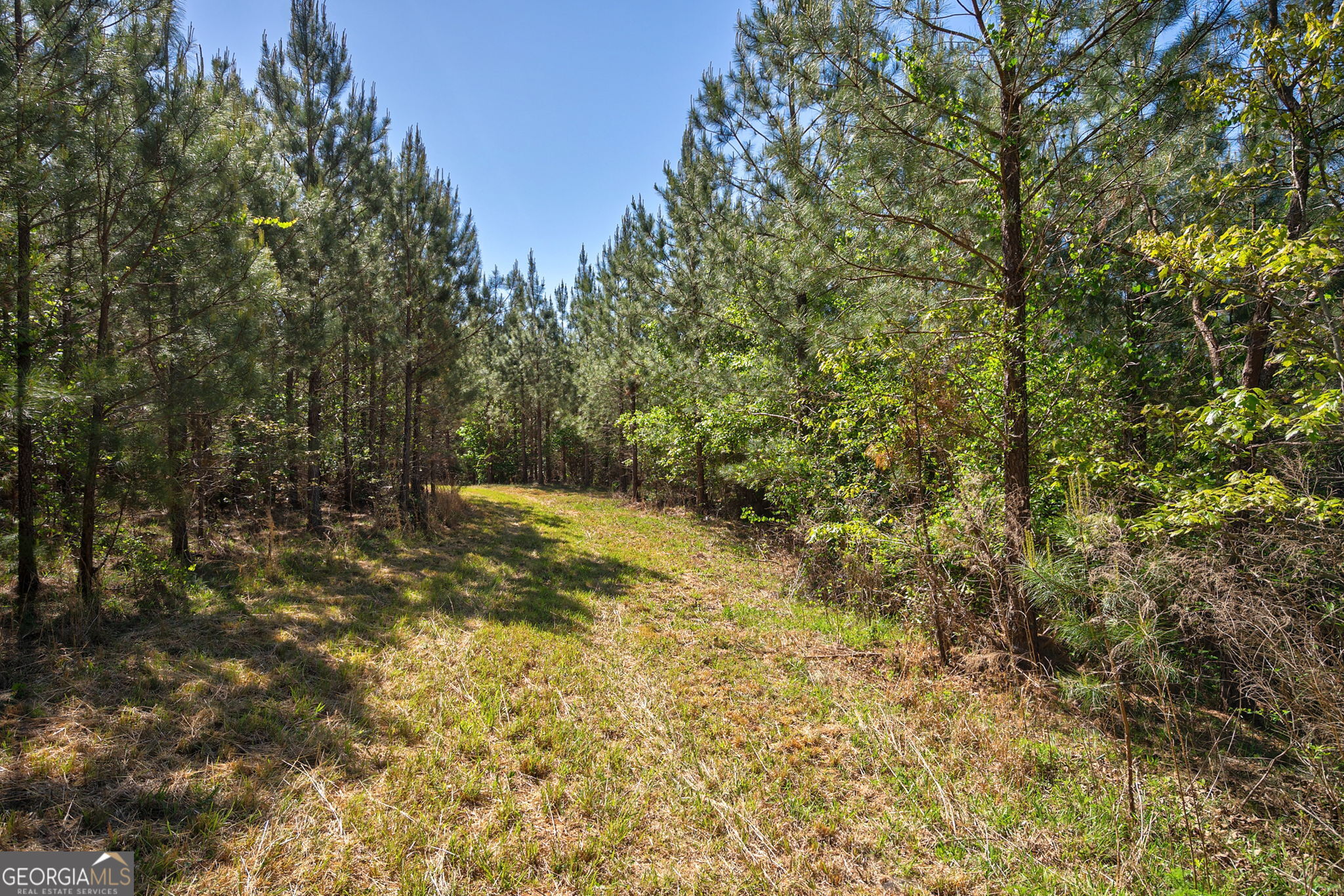 0 Brewer's Bridge Road Elberton, GA 30635 - Photo 17 of 38 a view of a yard with a tree