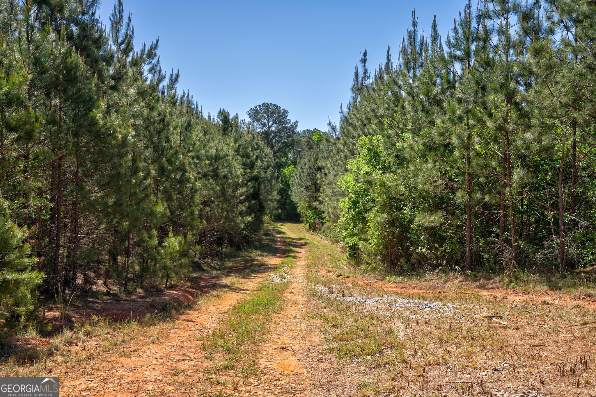 0 Brewer's Bridge Road Elberton, GA 30635 - Photo 20 of 38 a view of a yard with plants and trees