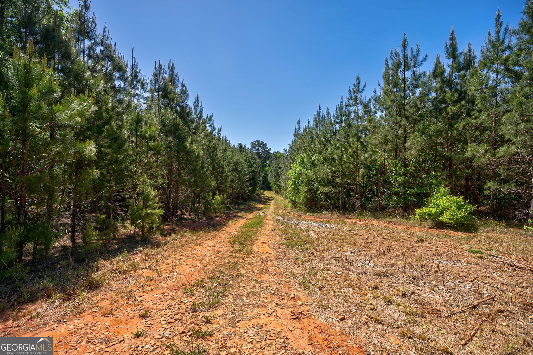 0 Brewer's Bridge Road Elberton, GA 30635 - Photo 21 of 38 a view of a yard with trees in the background