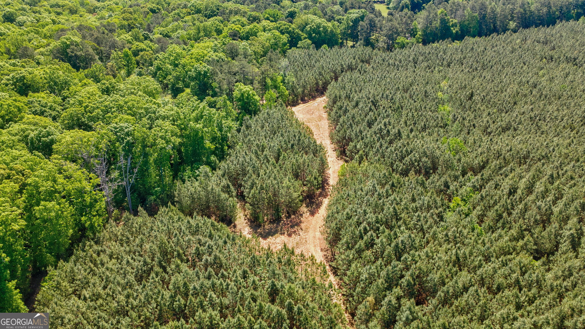 0 Brewer's Bridge Road Elberton, GA 30635 - Photo 23 of 38 a view of a forest with a tree