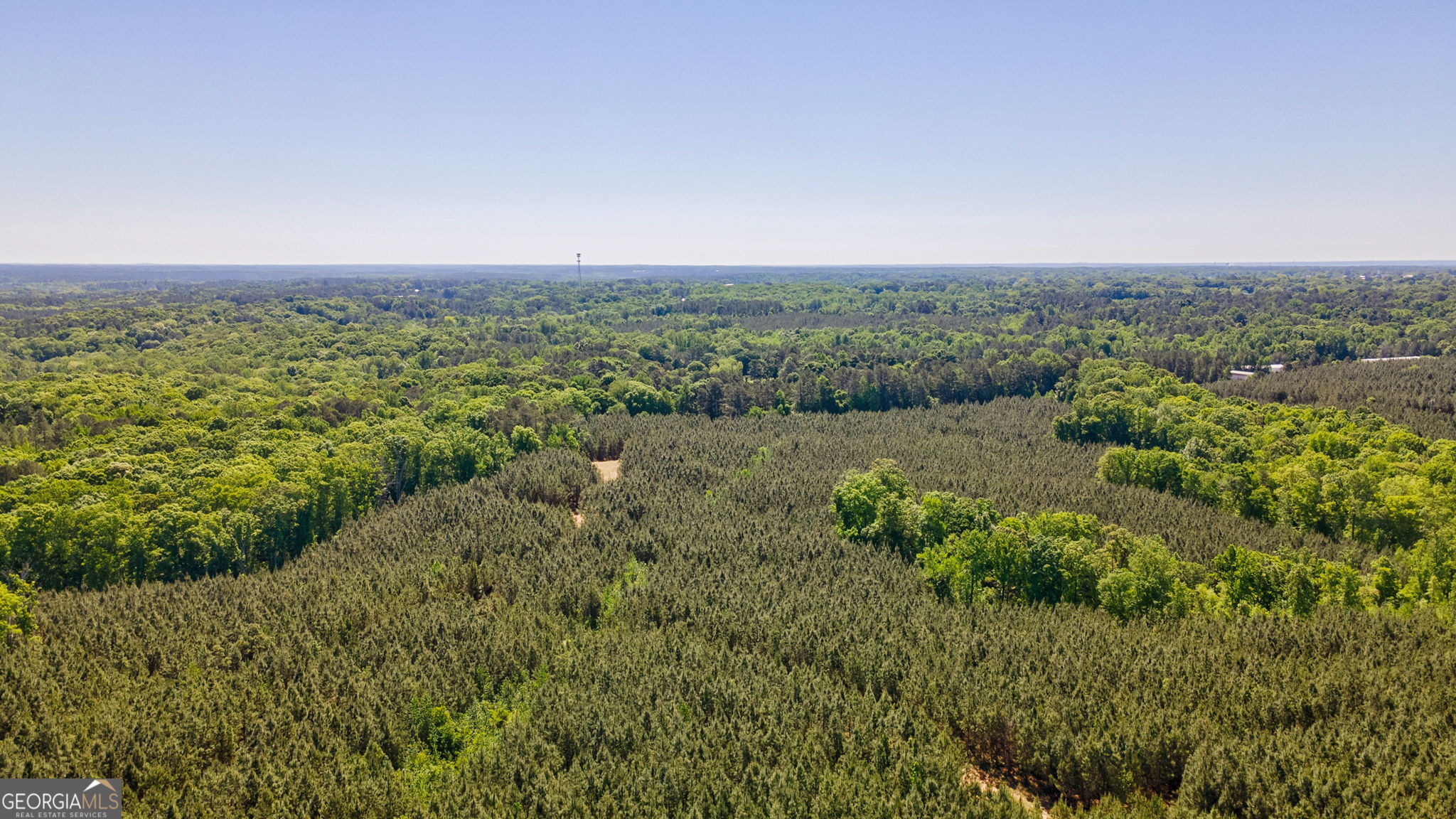 0 Brewer's Bridge Road Elberton, GA 30635 - Photo 27 of 38 a view of a green field with lots of bushes