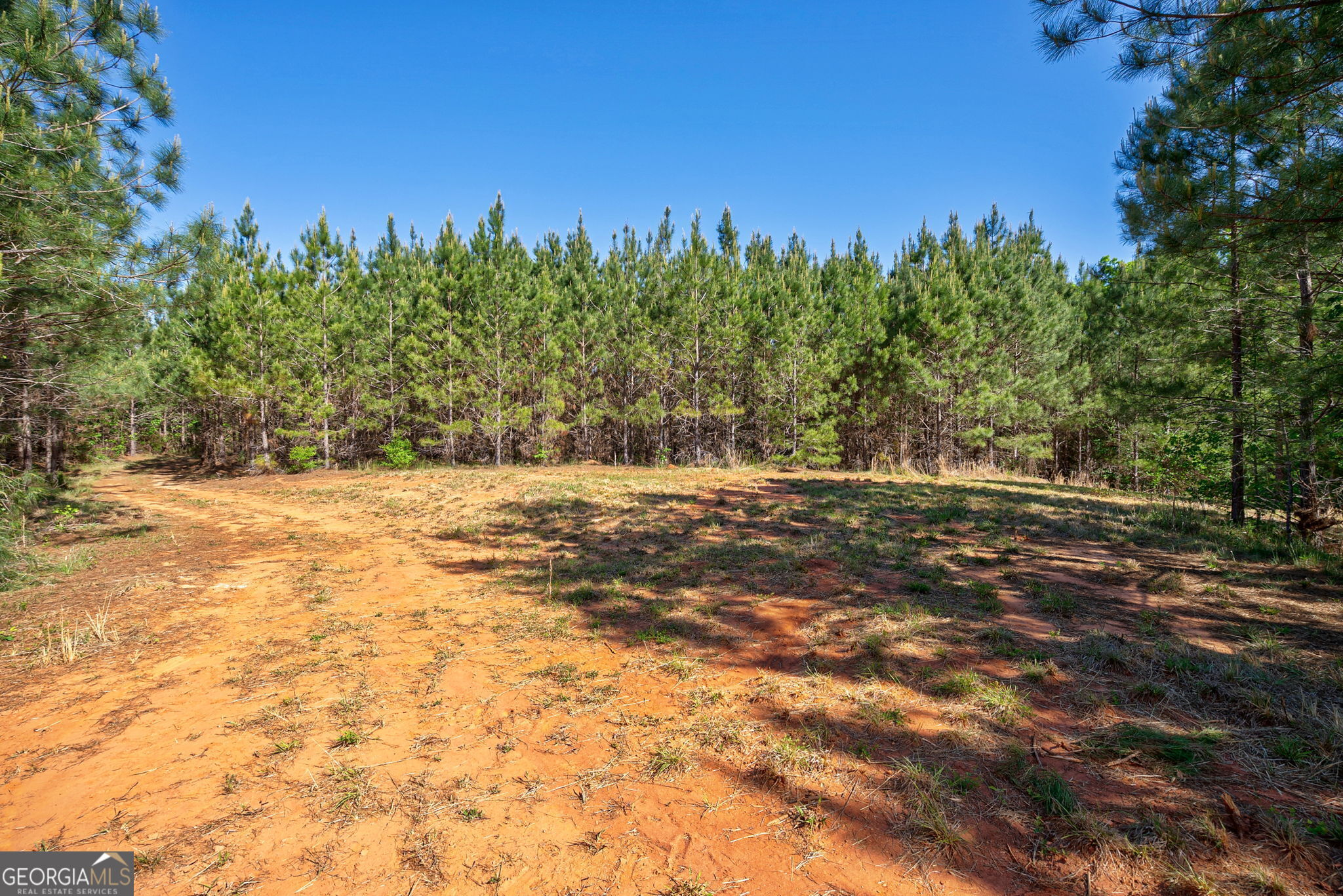 0 Brewer's Bridge Road Elberton, GA 30635 - Photo 34 of 38 a view of a yard with trees